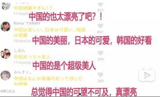 中国人聪明日韩评论视频,中国人智慧在日韩视频中的独特魅力